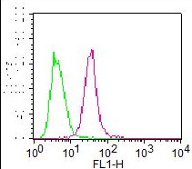 Monoclonal Antibody to FOXO1 (Clone: ABM4E66) FITC Conjugated